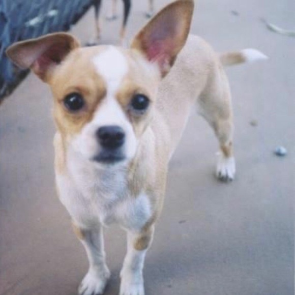 daisy03440